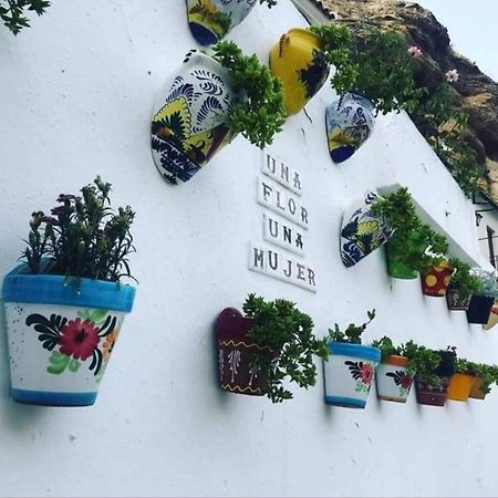 Setenil De Las BodegasLa Medina Bajaアパートメント エクステリア 写真