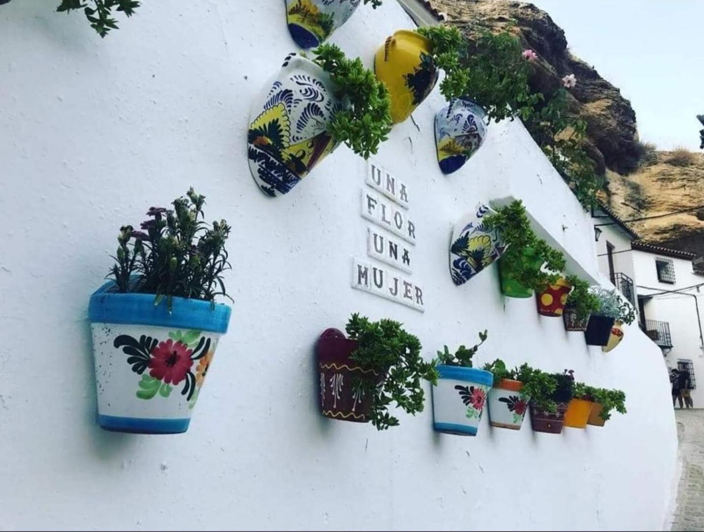 Setenil De Las BodegasLa Medina Bajaアパートメント エクステリア 写真
